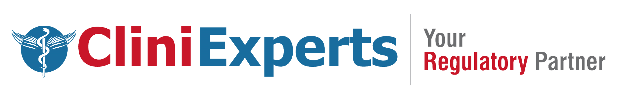 CliniExperts Services Logo